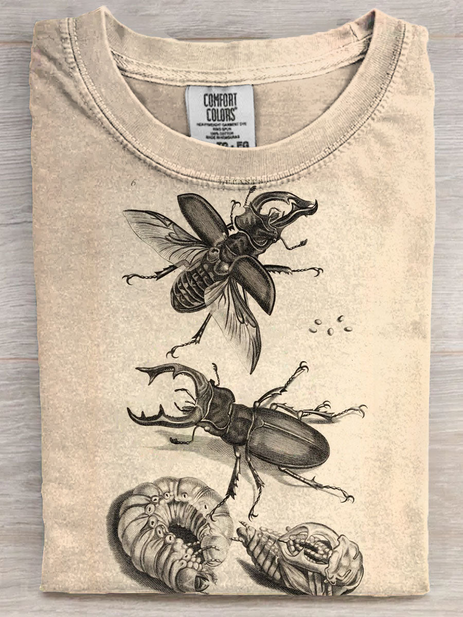 Vintage Insects Art Print Unisex Tee