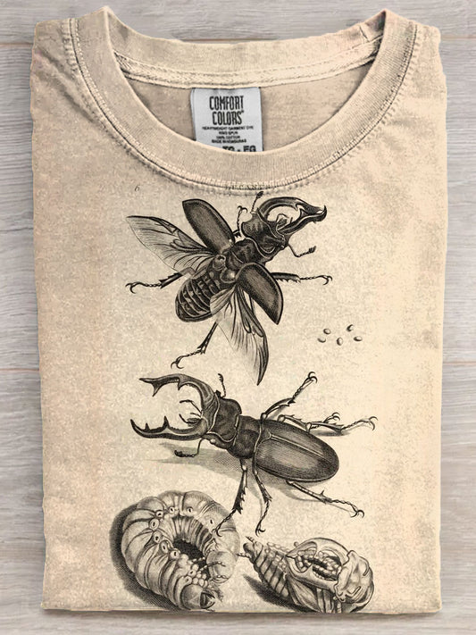 Vintage Insects Art Print  Unisex Tee
